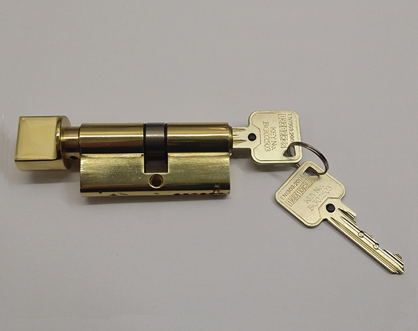 polished brass key/thumbturn euro cylinder